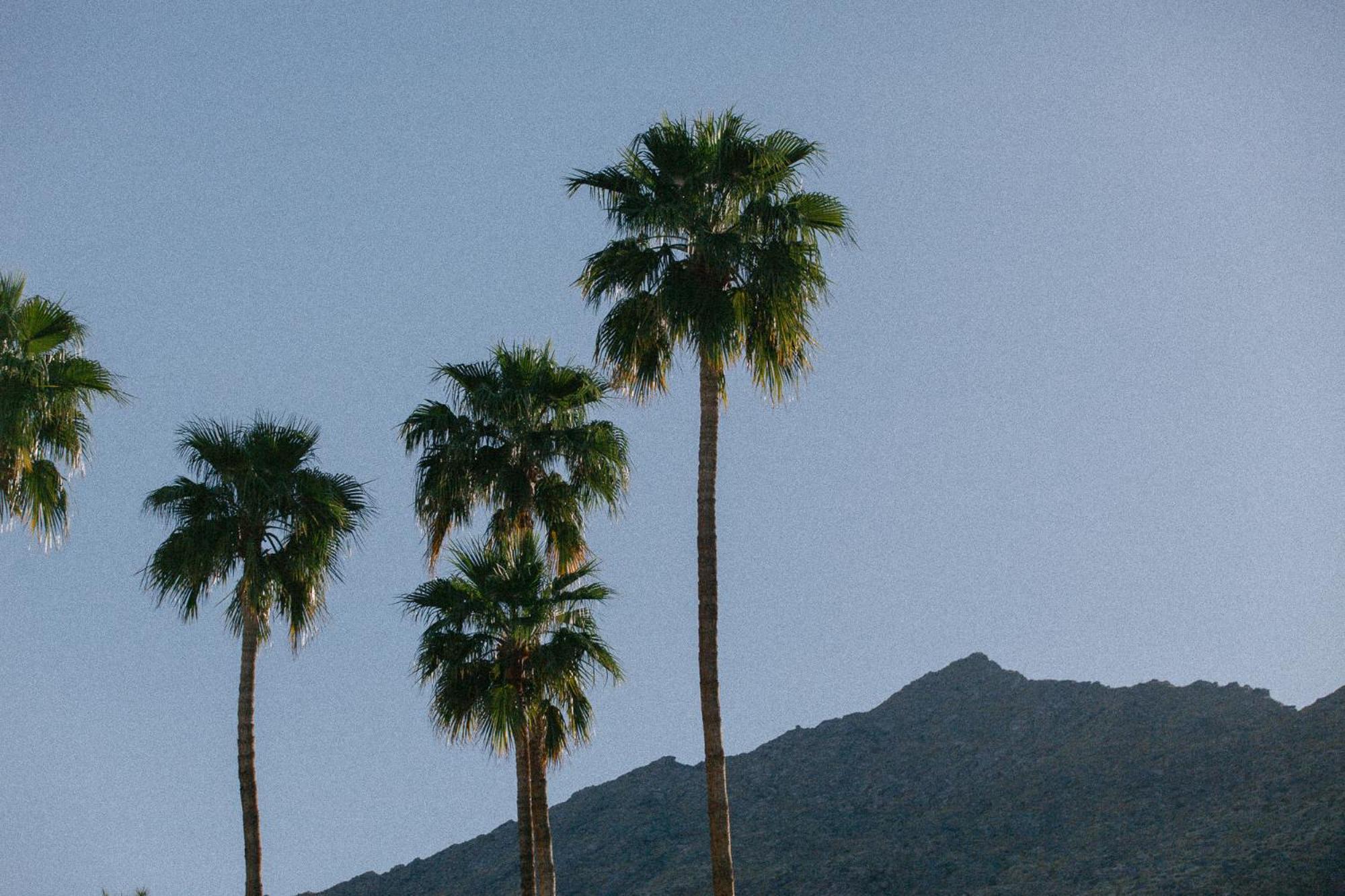Yara Hotel - Adults Only Palm Springs Esterno foto